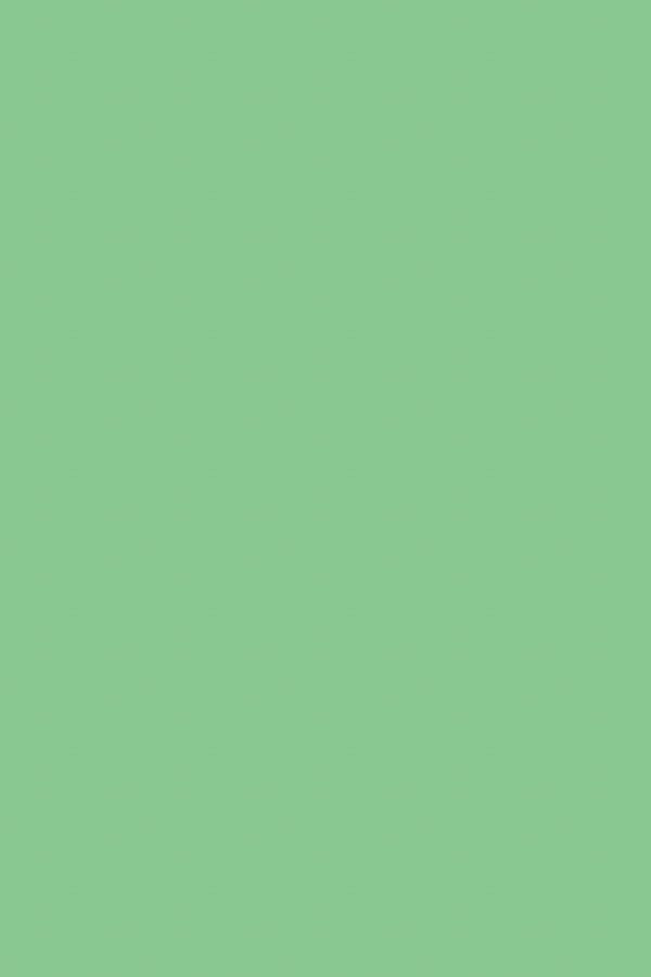 Grass Green | Sneaker Laces